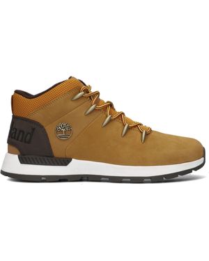 Timberland Sneaker High Sprint Trekker Mid - Schwarz