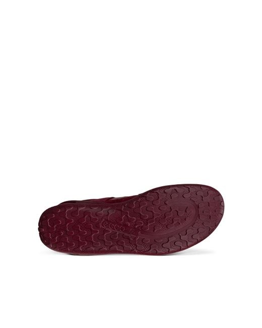 Ecco Purple Biom Lite W